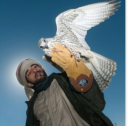 ���������� �������, ���� ������� Sanjar, 38 ���, ������������ ��� ������