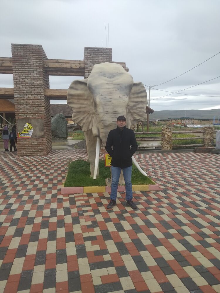 ���� 30208986 ������� �������, 49 ���, ���� ���������� � ���������