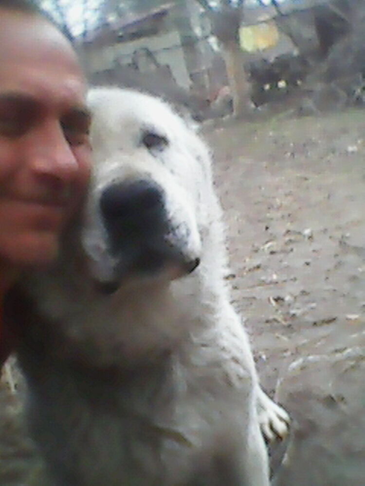  ,   , 57 ,   