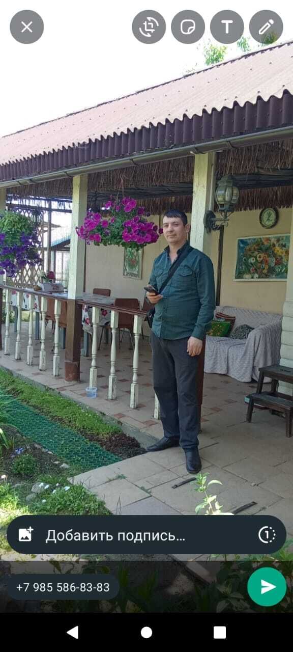 ���� 35946886 ������� ���� �������, 36 ���, ���� ���������� � ������