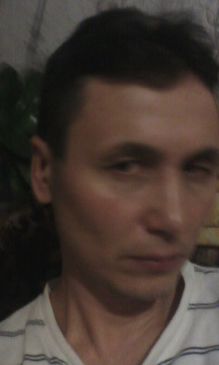 ���� 8334986 ������� ������, 54 ����, ���� ���������� � ���