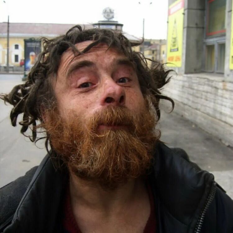 ���� 52620536 ������� ����, 40 ���, ���� ���������� � �������