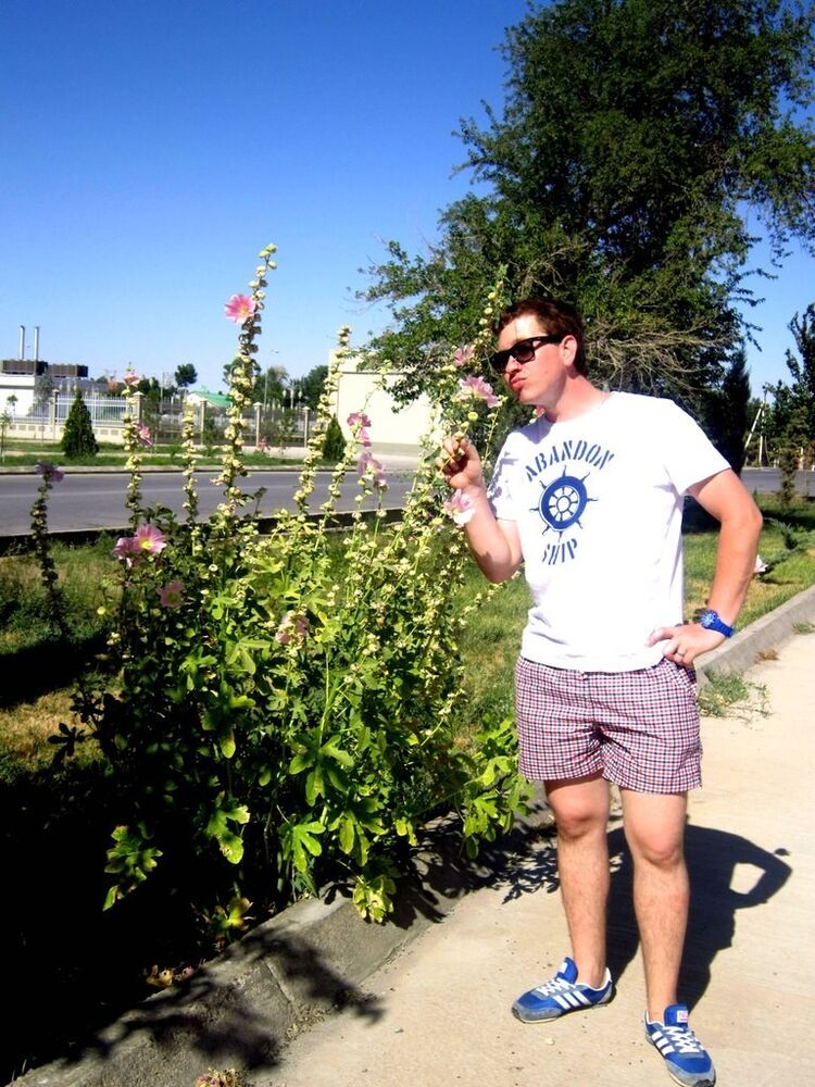 ���������� ������, ���� ������� �����, 38 ���, ������������ ��� ������, ����� � ���������, c�������� ���������