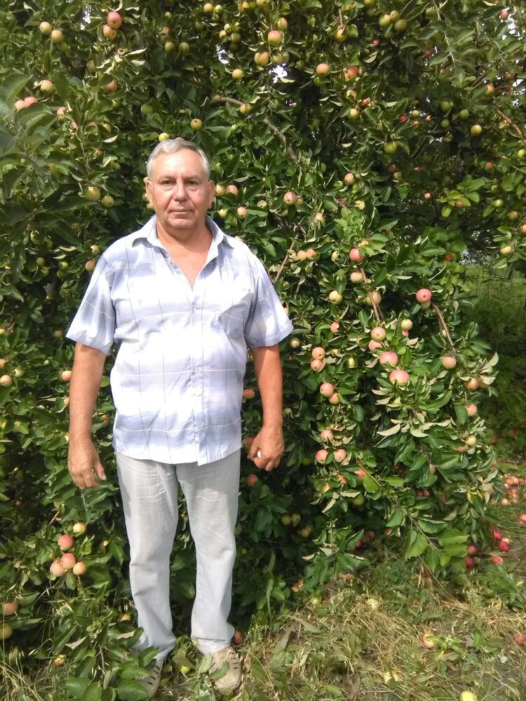  ,   , 68 ,   ,   
