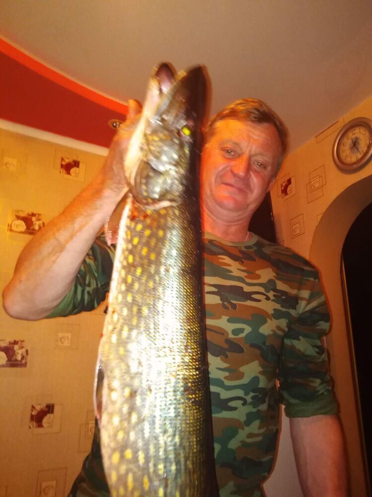  -,   , 54 ,   ,   