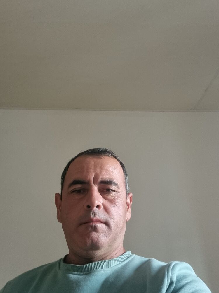  34843176  , 41 ,    
