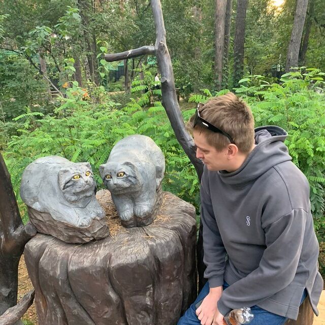 ���������� �����������, ���� ������� ������, 35 ���, ������������ ��� ������, ����� � ���������, c�������� ���������, ���������