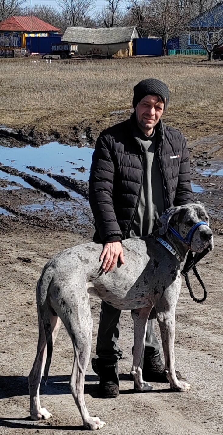 ���������� �������, ���� ������� ������, 45 ���, ������������ ��� ������, ����� � ���������