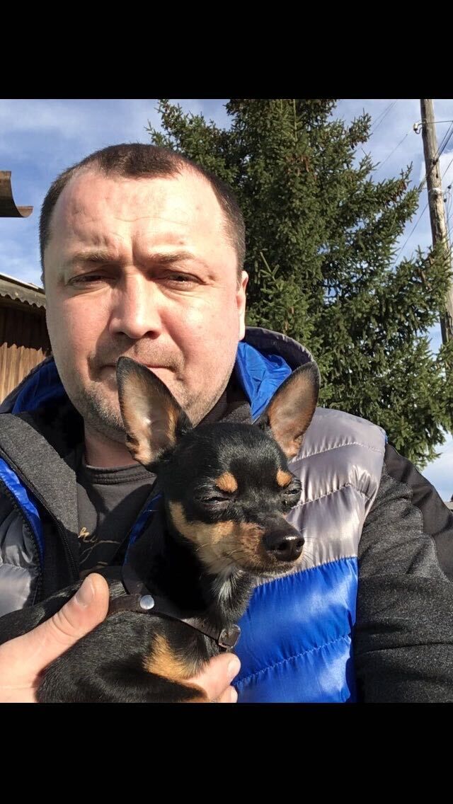 ���� 52313156 ������� �������, 40 ���, ���� ���������� � �����������