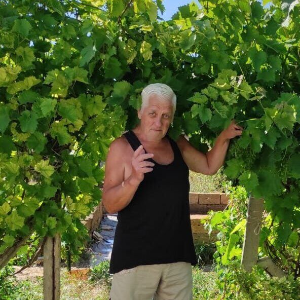 ���� 56205466 ������� ��������, 74 ����, ���� ���������� � �����������