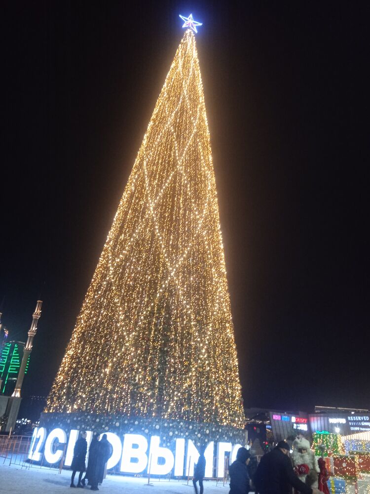 ���������� �������, ���� ������� ������, 29 ���, ������������ ��� ������, ����� � ���������