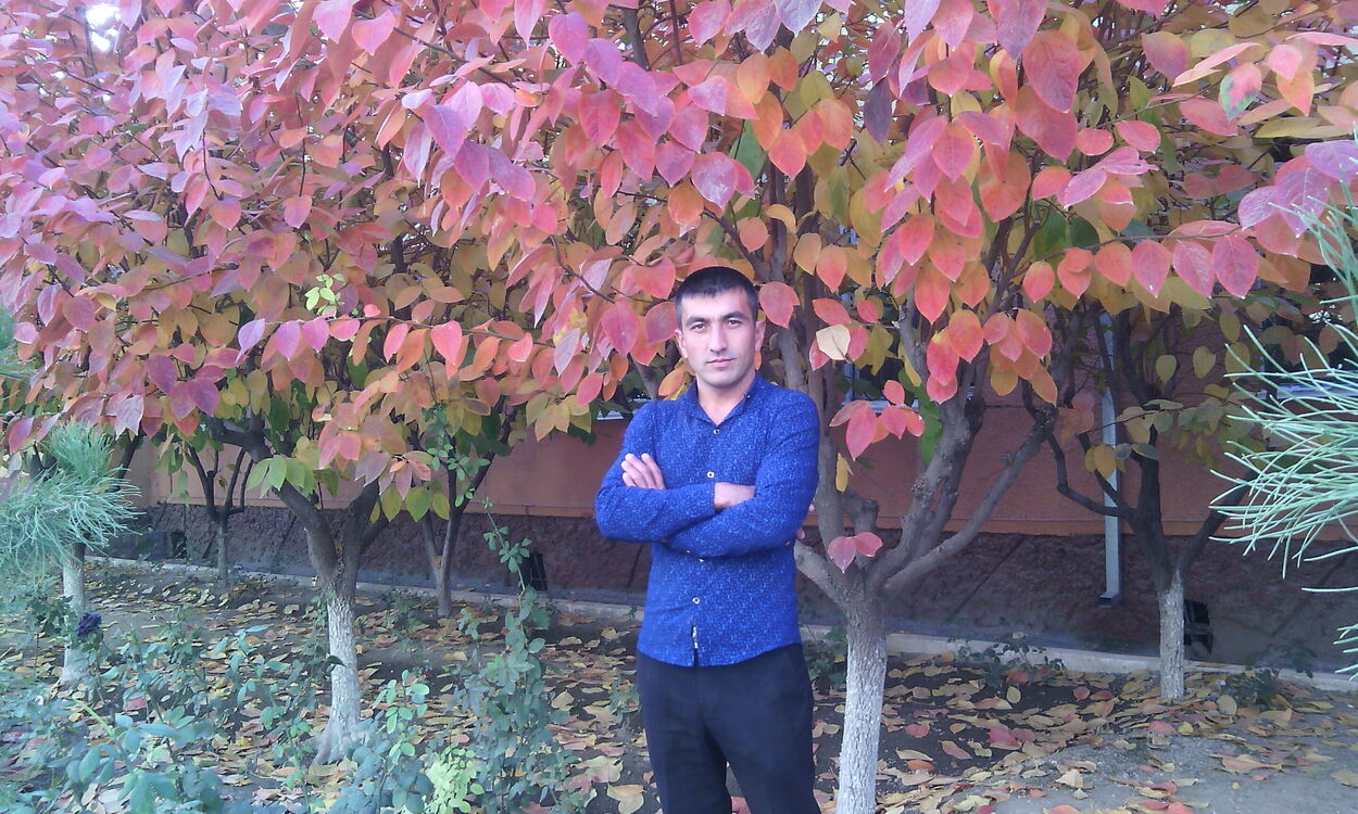  40446656   , 40 ,    