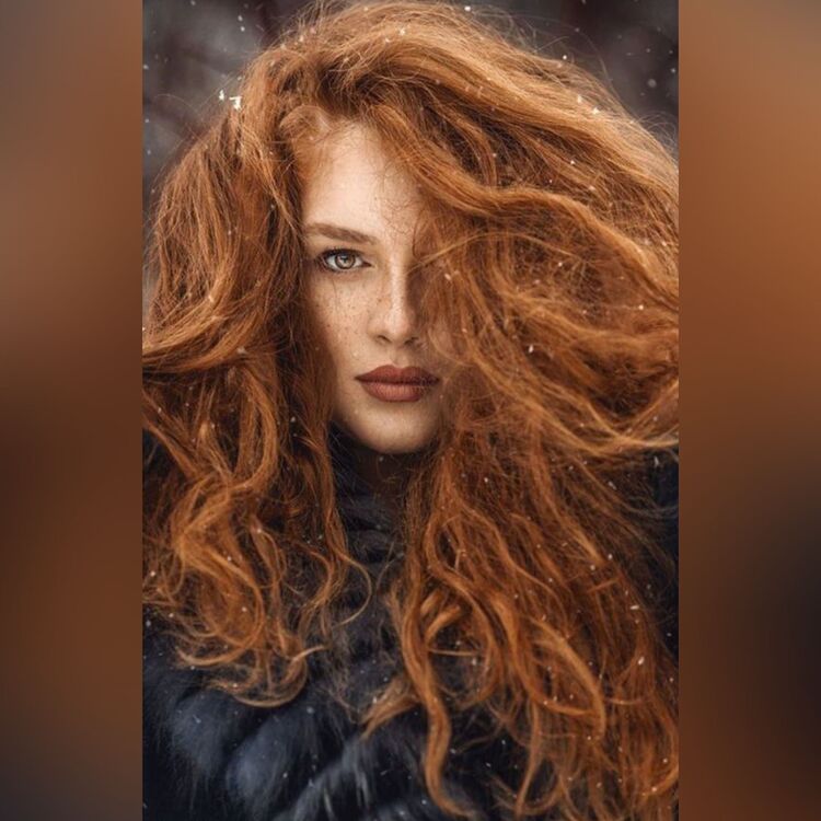 ���� 53793696 ������� ����, 44 ����, ���� ���������� � ����������