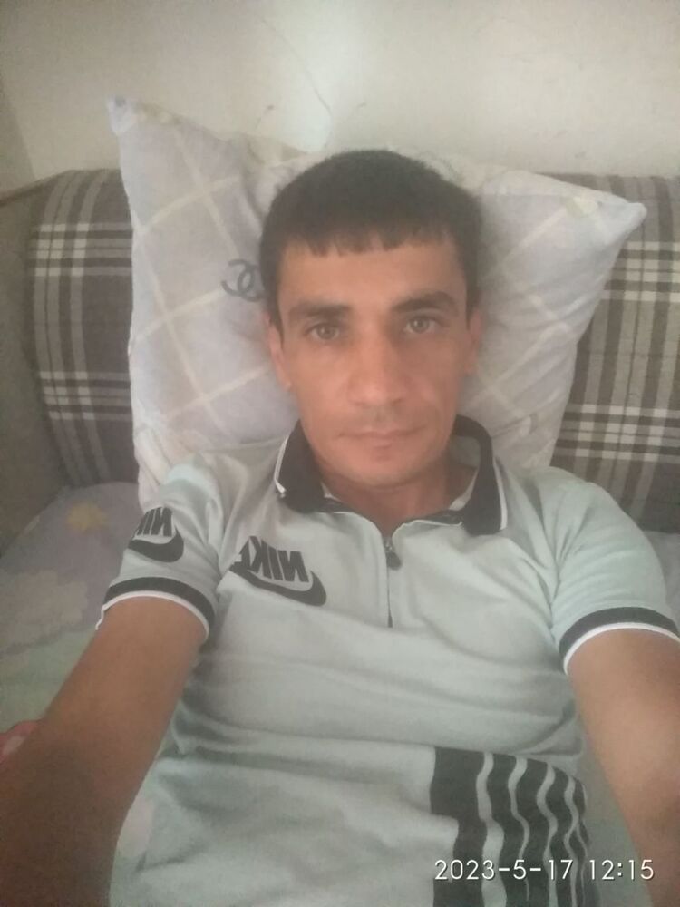  34667806  , 38 ,    