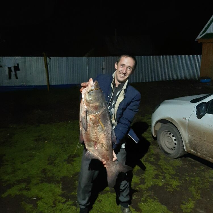 ���� 30153256 ������� �����, 37 ���, ���� ���������� � ���