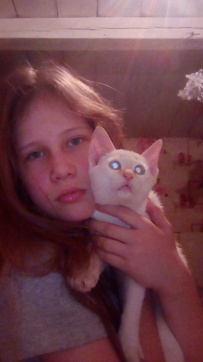 ���� 18597606 ������� �������, 25 ���, ���� ���������� � �����-����������