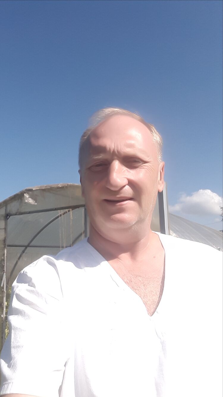  45742586  , 54 ,    