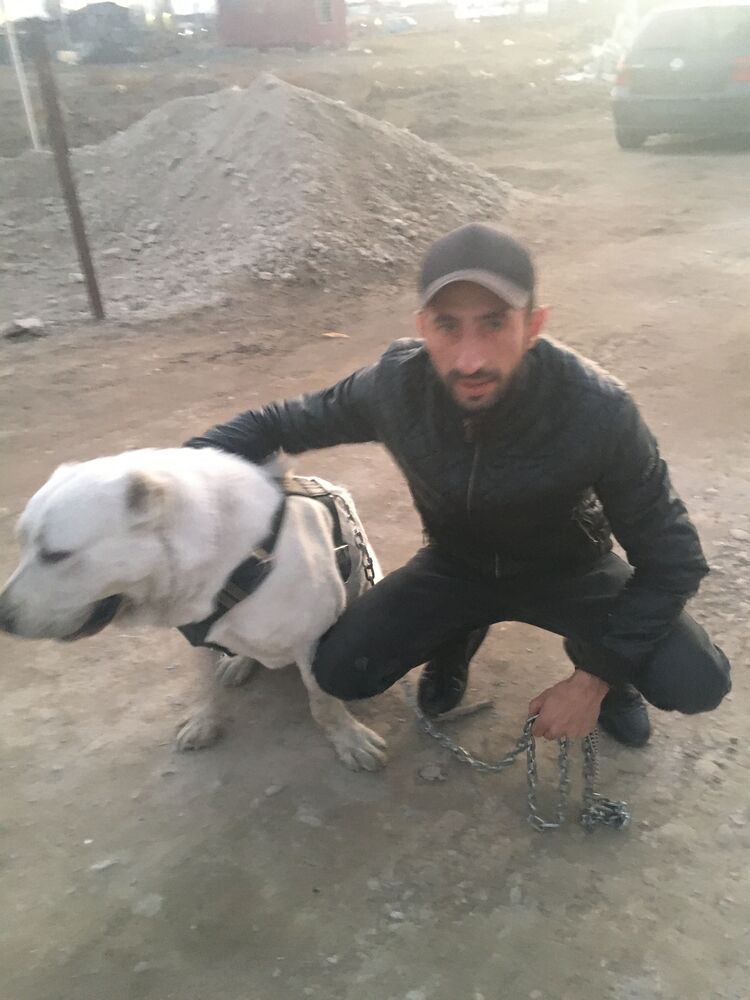 ���� 42298436 ������� Vram, 34 ����, ���� ���������� � ��������