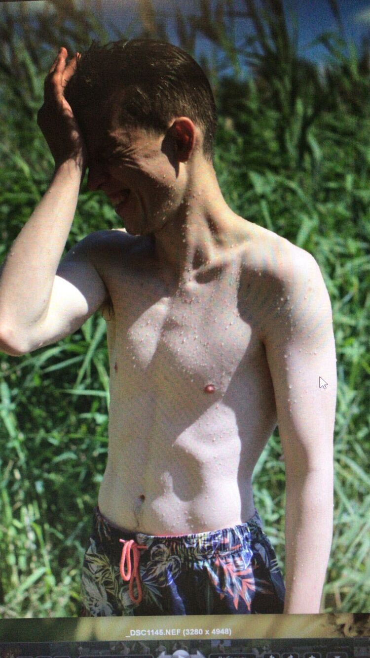  ,   , 30 ,   ,   