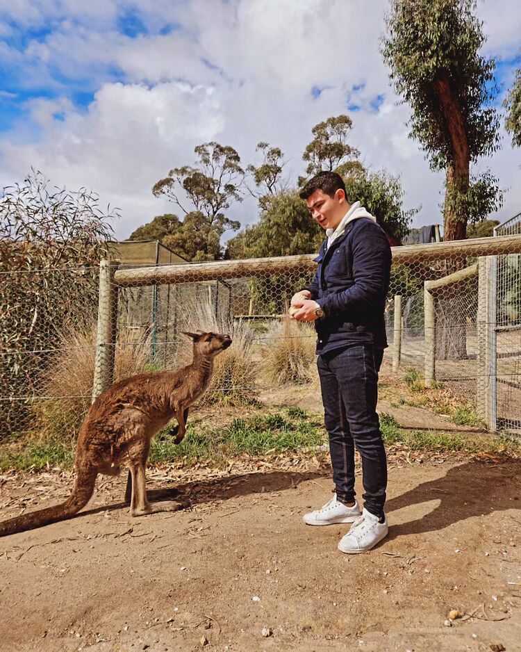 ���������� ������, ���� ������� Tolga, 30 ���, ������������ ��� ������, ����� � ���������