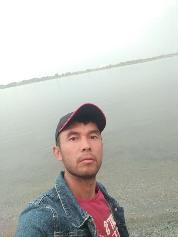  53530366  , 36 ,    
