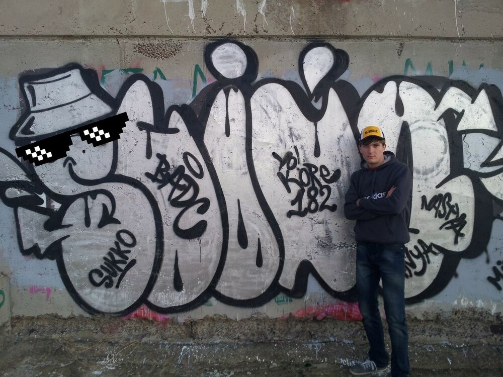  27644376  Dmitry, 33 ,    