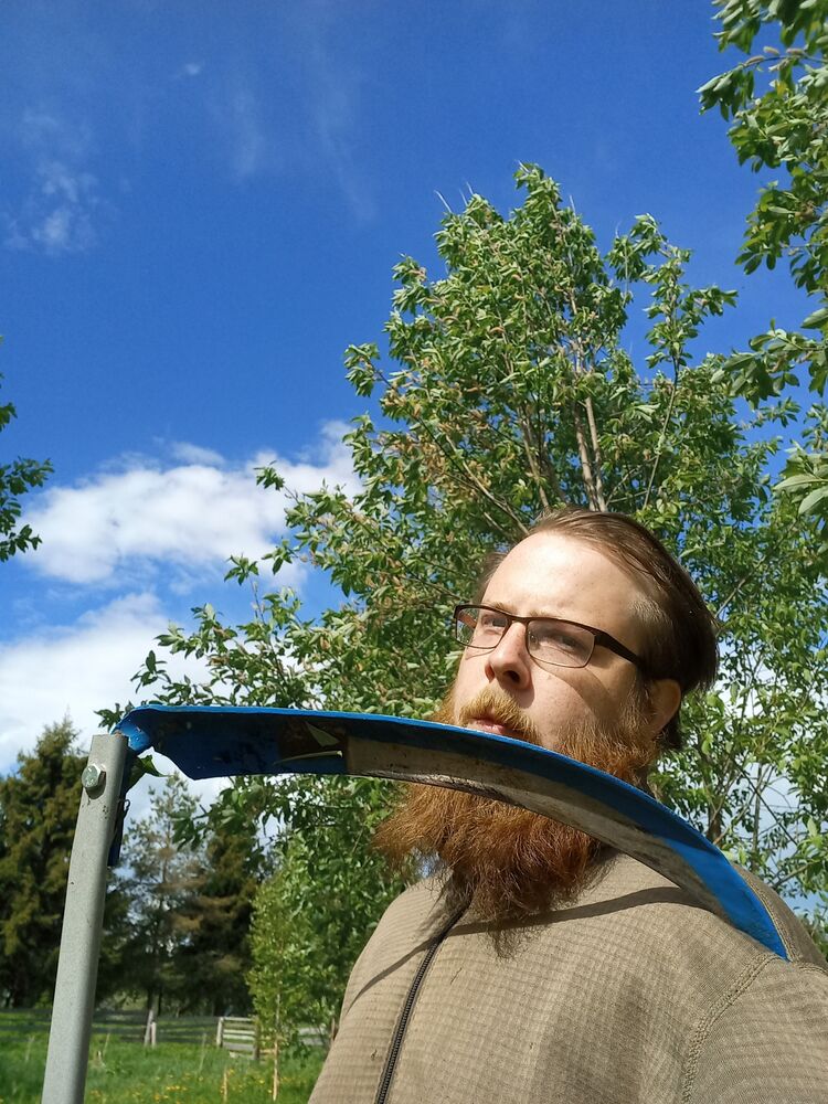 ���� 27208156 ������� ������, 29 ���, ���� ���������� � ������� ���������