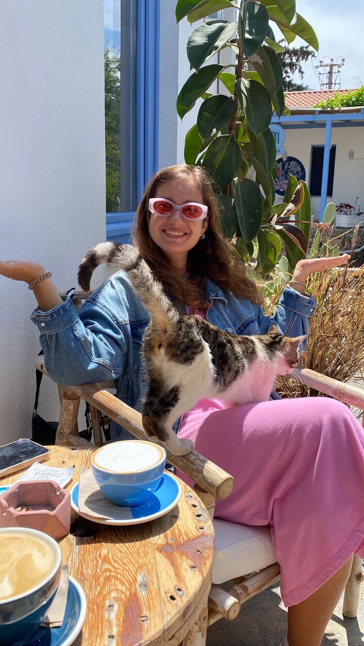 ���������� ������, ���� ������� Xenia, 31 ���, ������������ ��� ������, c�������� ���������