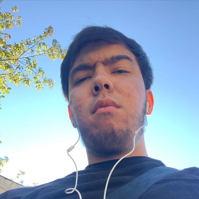 ���������� ��������, ���� ����� �����, 24 ����, ������������ ��� ������, ����� � ���������