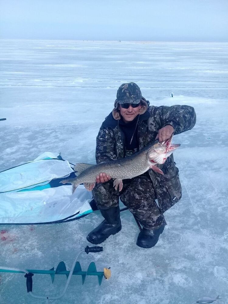 ���������� ����-�����������, ���� ������� �����, 43 ����, ������������ ��� ������, ����� � ���������, c�������� ���������