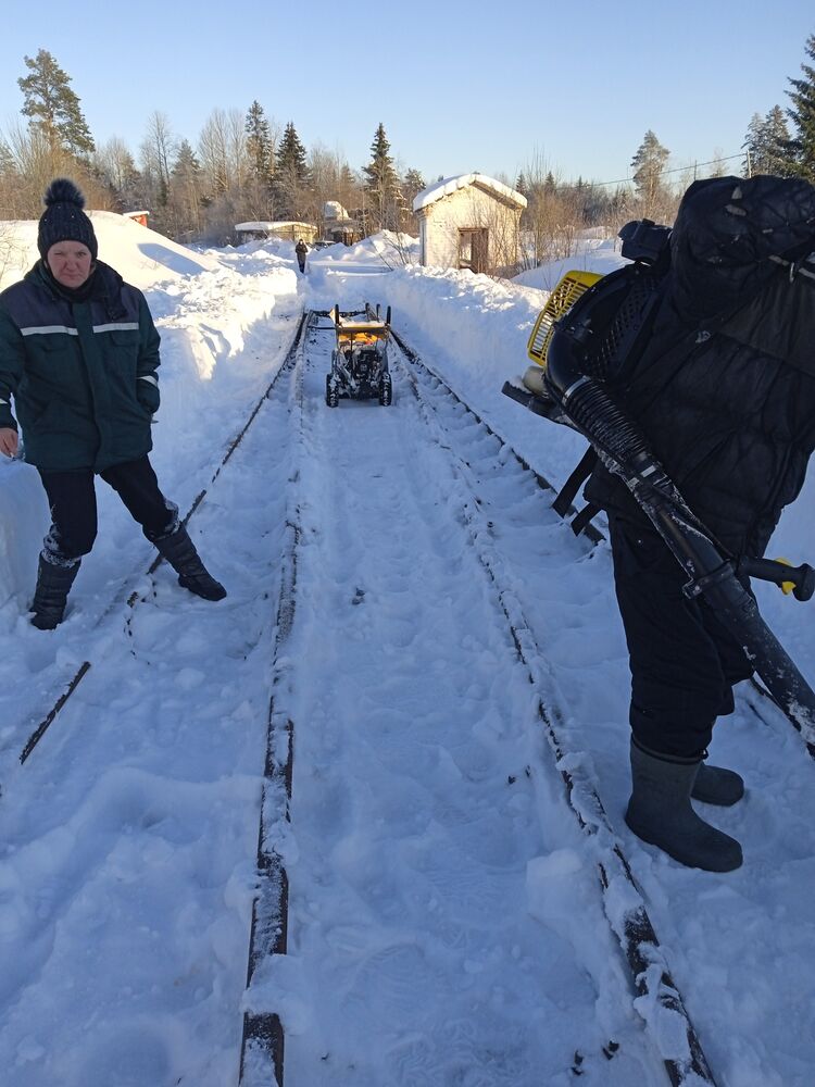 ���������� �����-���������, ���� ������� ����, 51 ���, ������������ ��� ����� � ���������, c�������� ���������