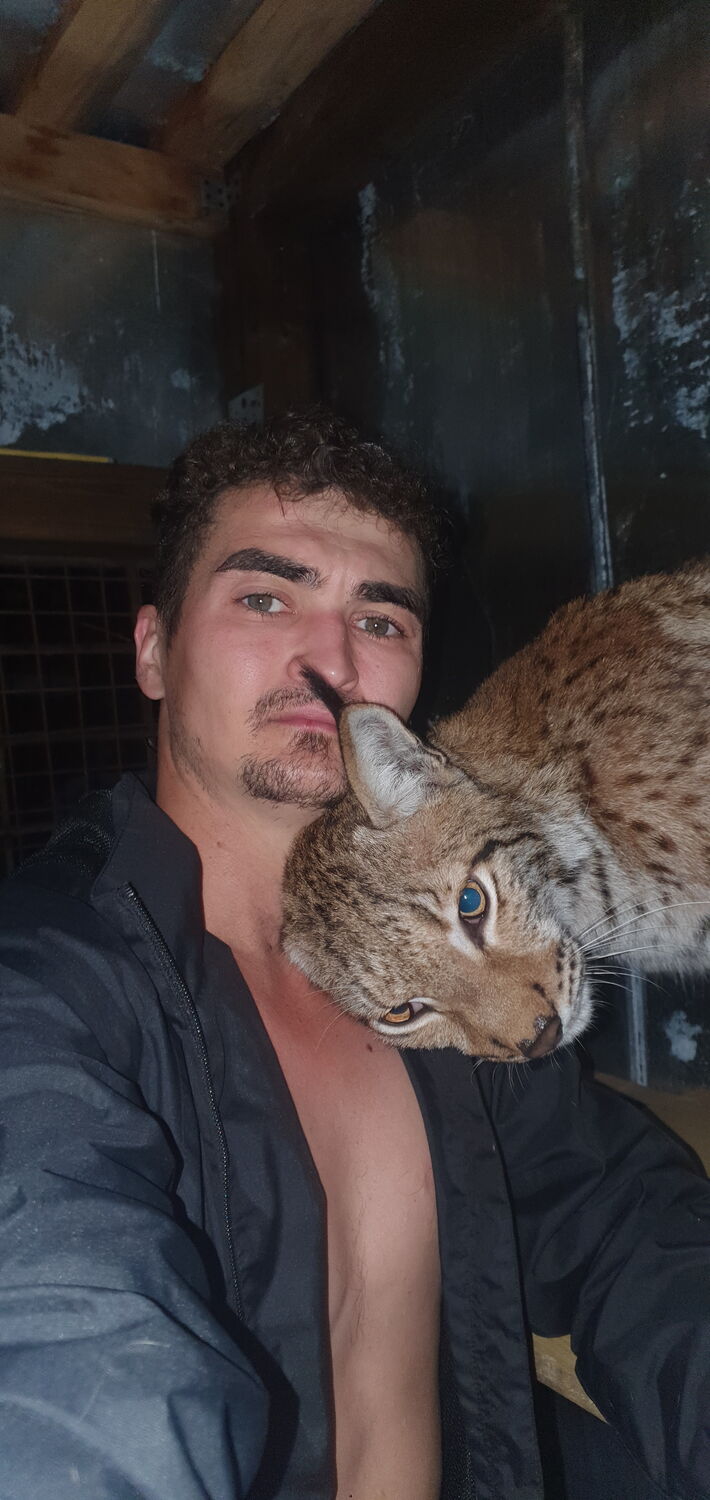 ���� 25795046 ������� ��� ���, 36 ���, ���� ���������� � �������