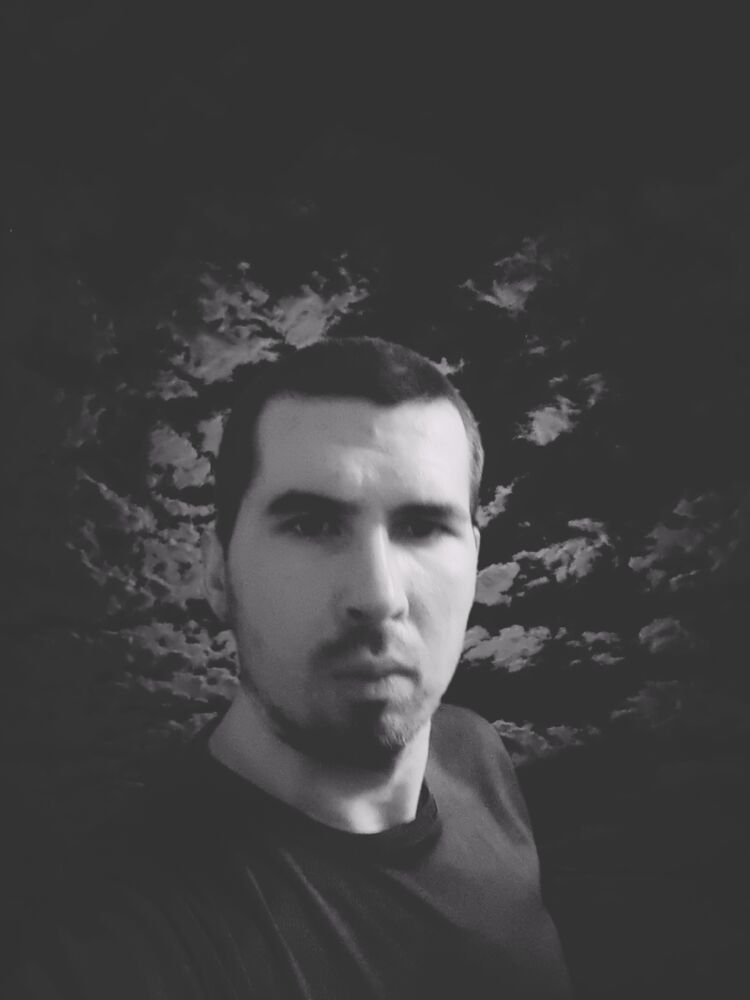  52568496  , 31 ,    