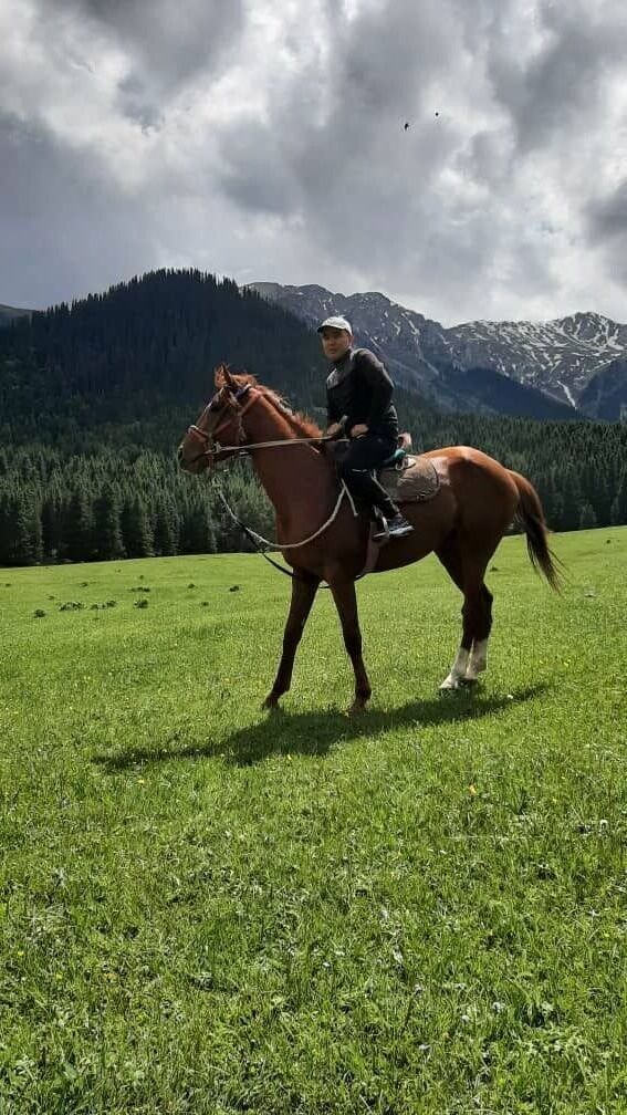 ���������� ������, ���� ������� �����, 35 ���, ������������ ��� ������, ����� � ���������