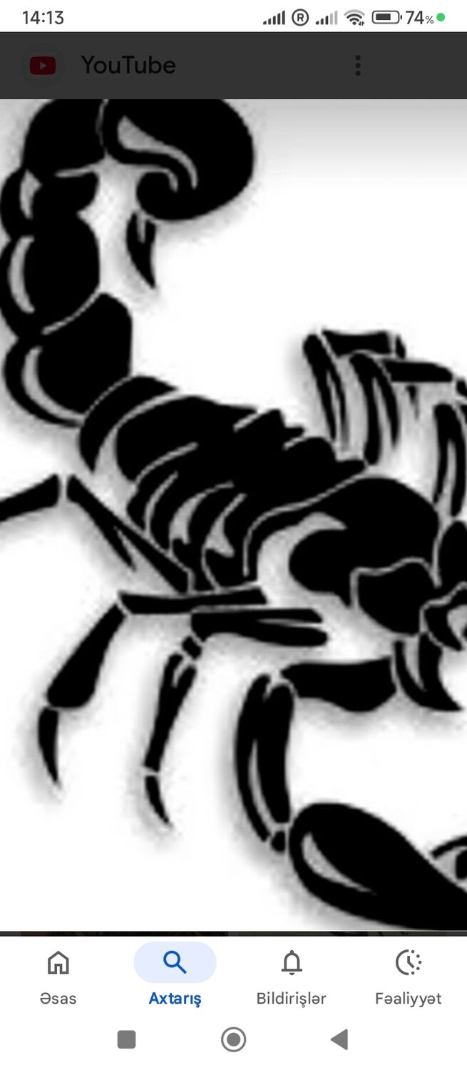  54474756  Namil, 44 ,    Homberg