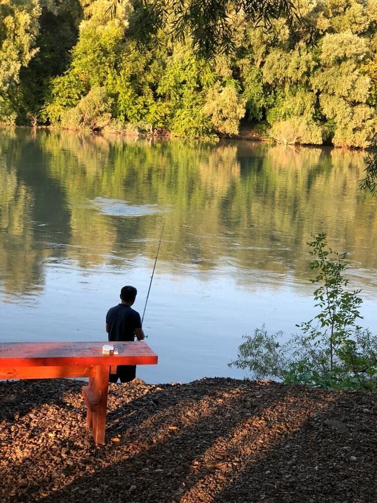 ���� 30769846 ������� �����, 48 ���, ���� ���������� � ����������