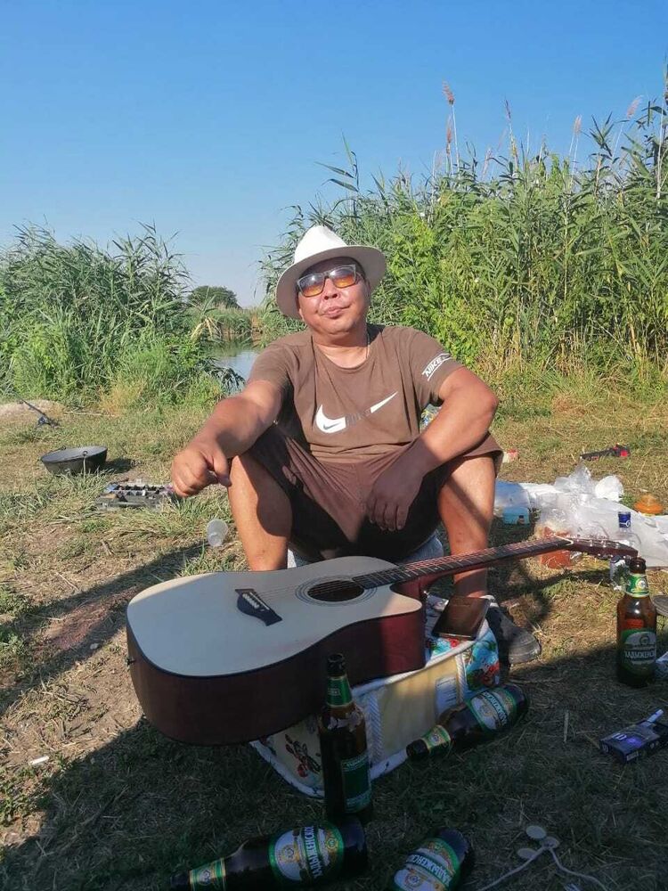  53352156  , 43 ,    -