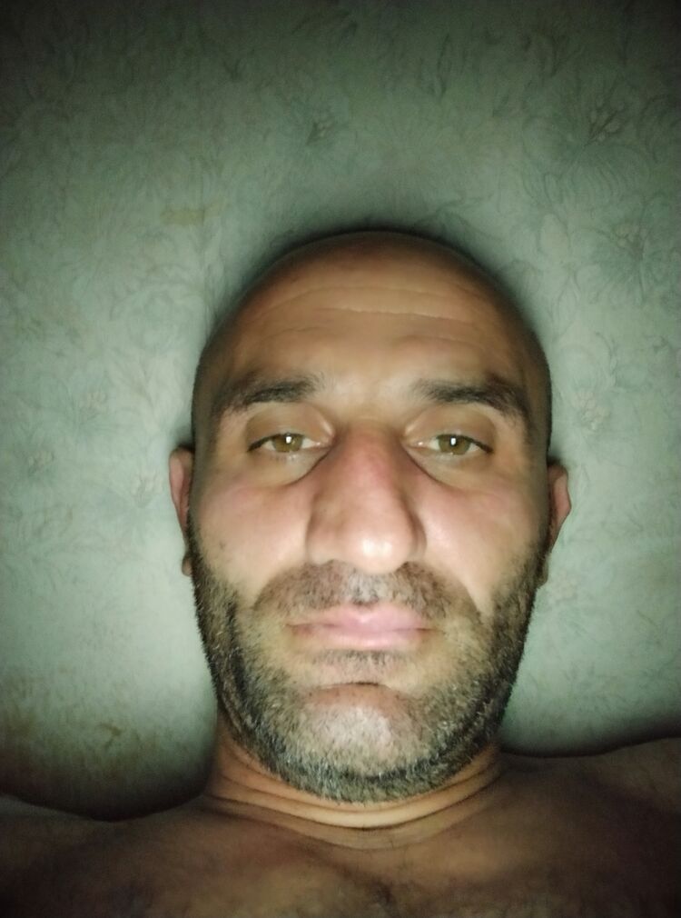 ���� 23185526 ������� Dato, 45 ���, ���� ���������� � �������