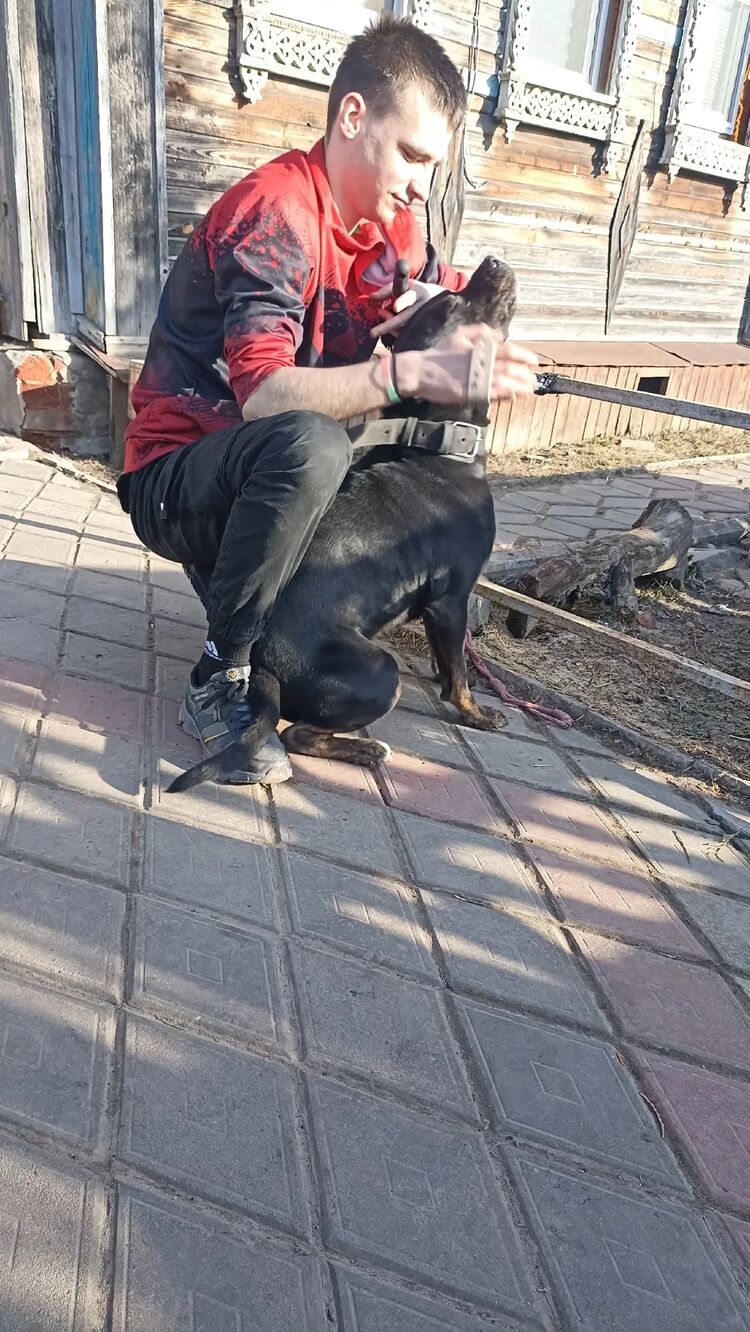 ���� 42467846 ����� ������, 24 ����, ���� ���������� � ������