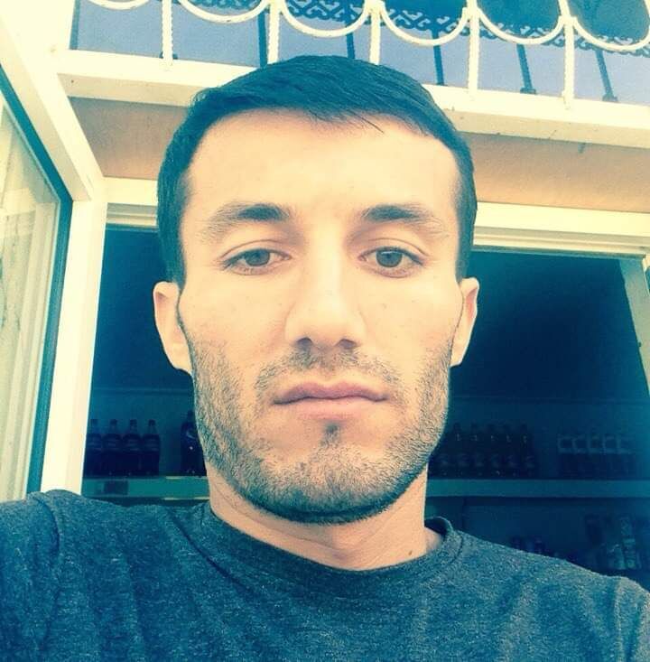  31254866  , 33 ,    