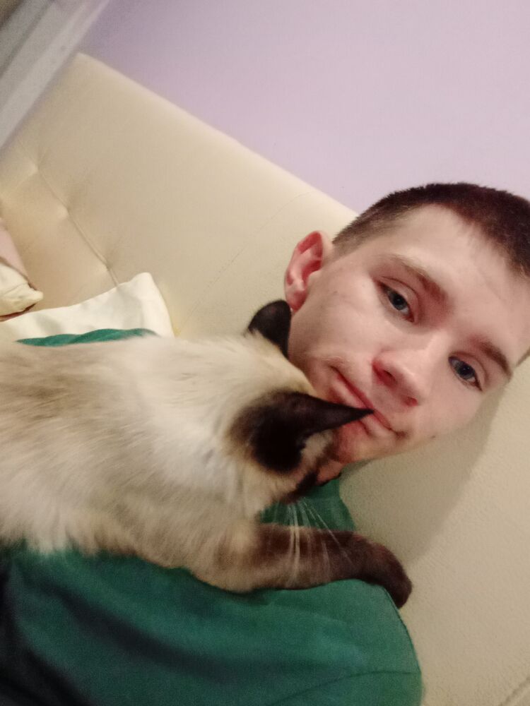 ���������� ������, ���� ����� �����, 20 ���, ������������ ��� ������, ����� � ���������, c�������� ���������, ���������