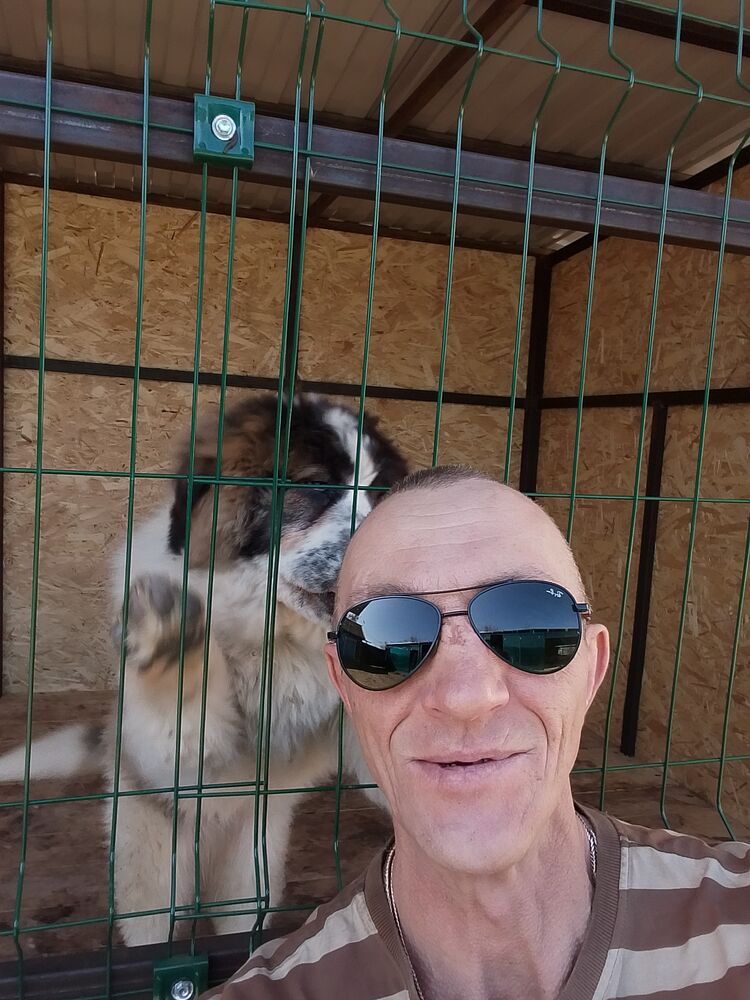 ���� 56265416 ������� ����, 45 ���, ���� ���������� � ����������