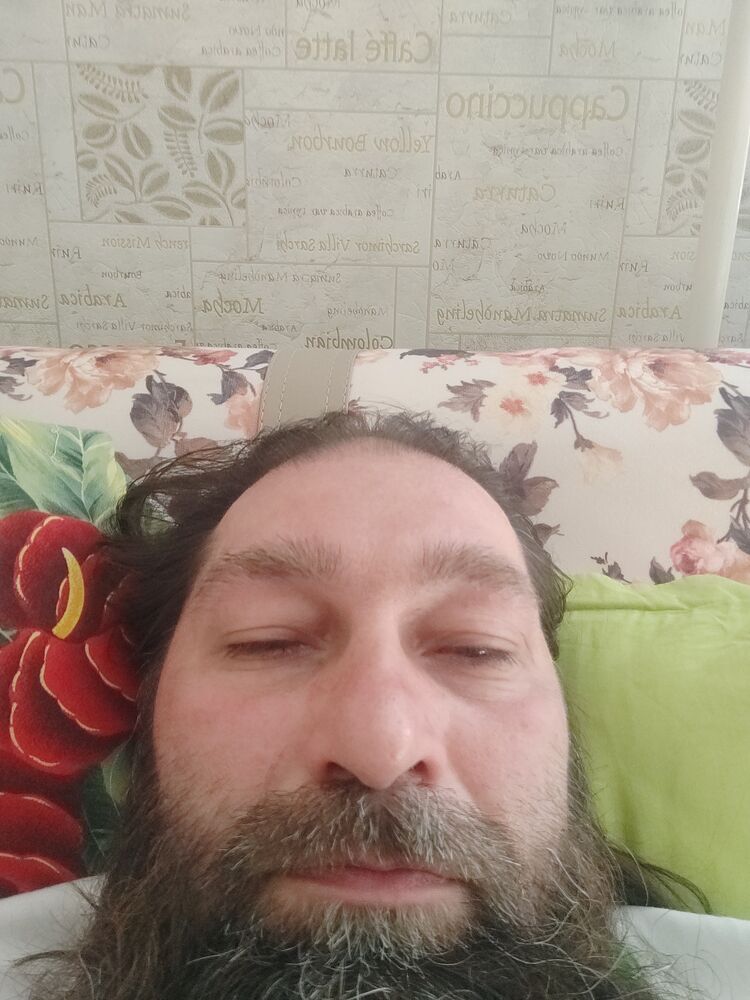  23378616  , 50 ,    