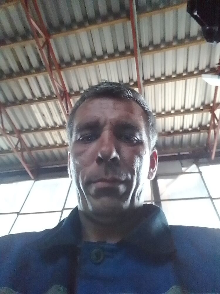  37134226  , 41 ,    