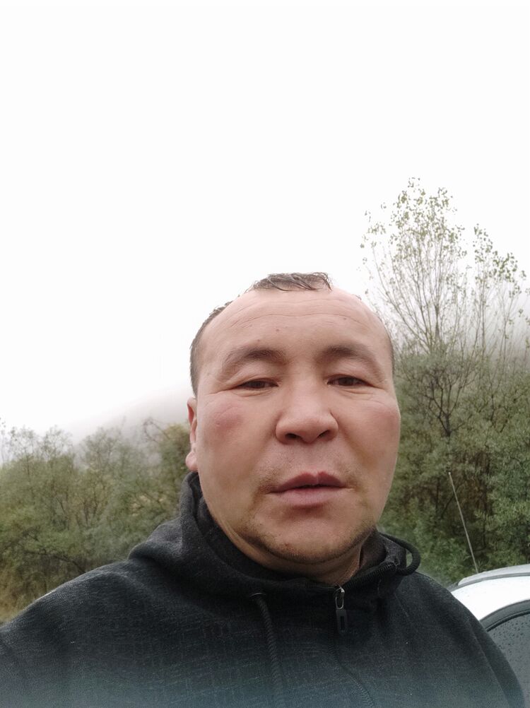 39811326  , 45 ,    