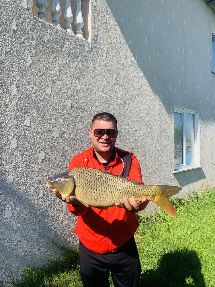 ���������� �������, ���� ������� Crudu Stefan, 34 ����, ������������ ��� ������, ����� � ���������, c�������� ���������