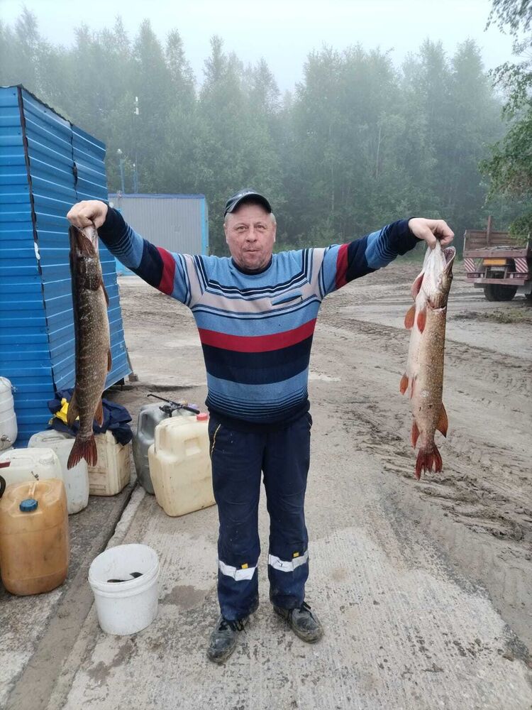 ���� 55588986 ������� ������, 51 ���, ���� ���������� � �����