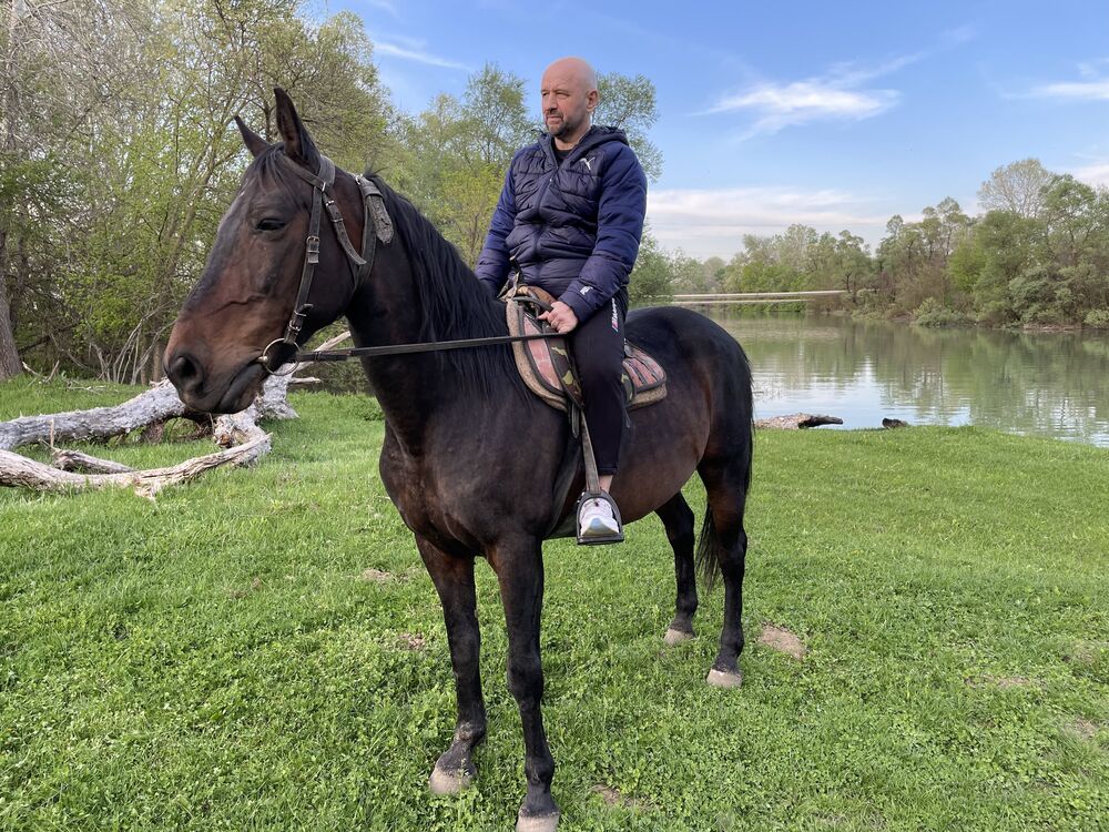 ���� 40137316 ������� ������, 47 ���, ���� ���������� � ����������