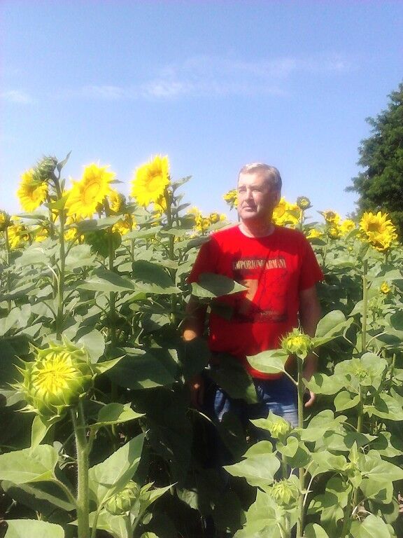 ���� 5351436 ������� ����, 61 ���, ���� ���������� � �����