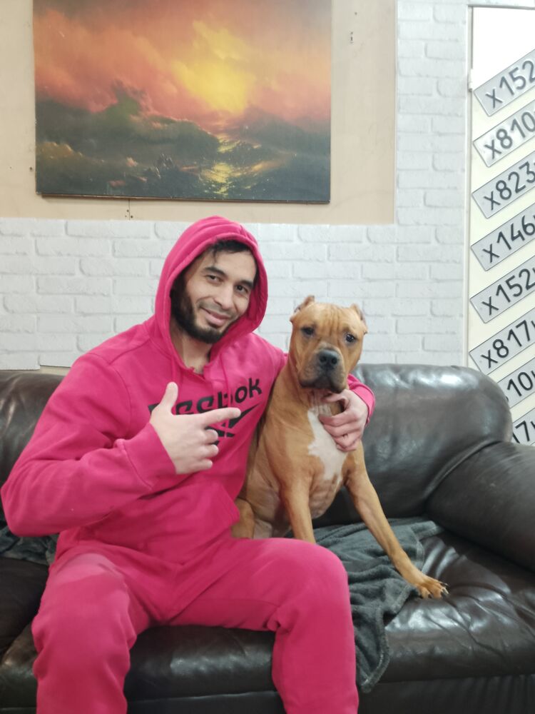 ���� 41644006 ������� Elyor, 31 ���, ���� ���������� � �����-����������